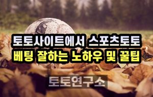 토토사이트에서 스포츠토토 베팅 잘하는 노하우와 꿀팁